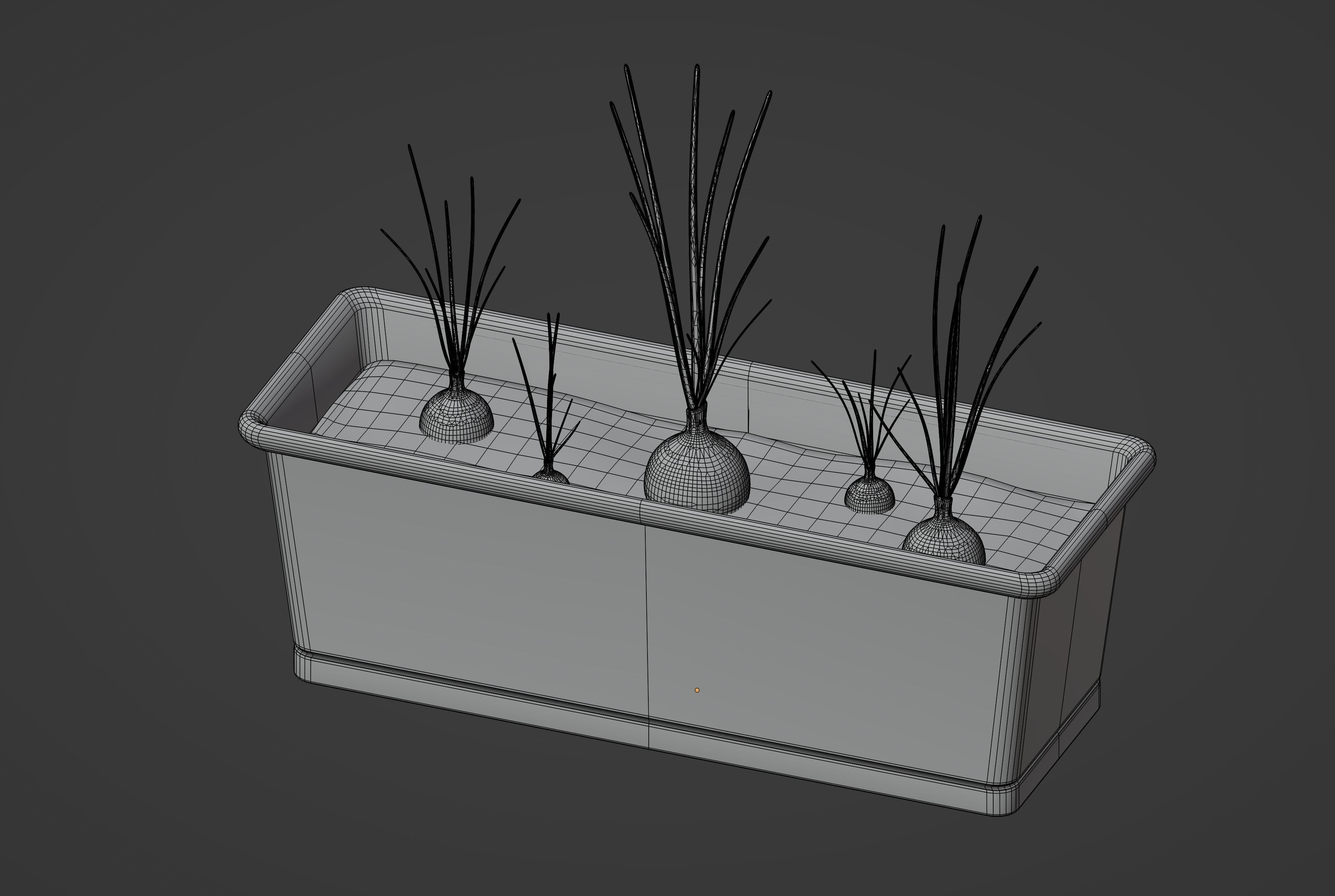 Planter Box with Growing Onions 3D model_10