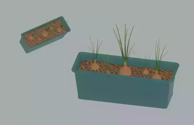 Planter Box with Growing Onions