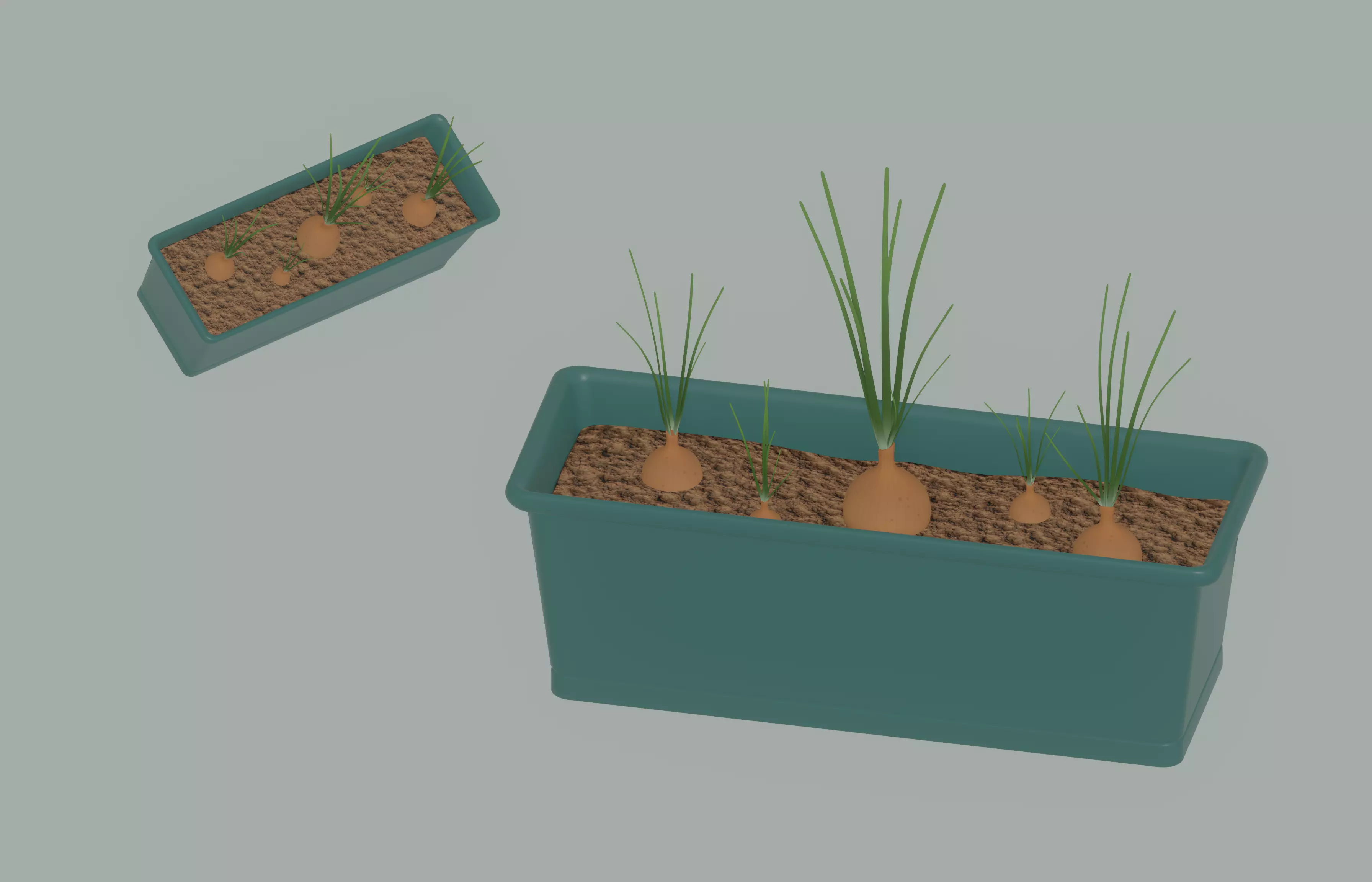 Planter Box with Growing Onions 3D model_0