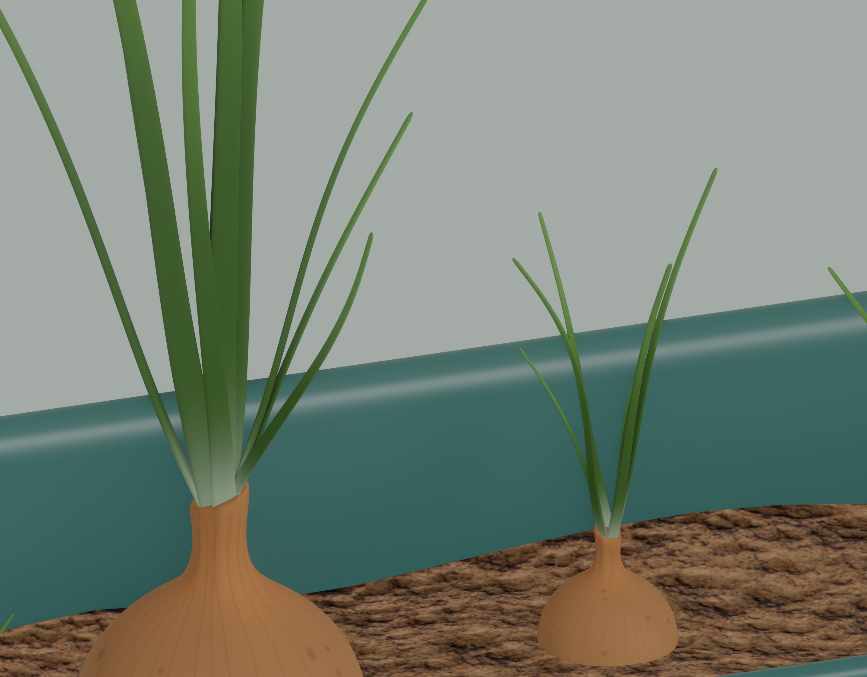 Planter Box with Growing Onions 3D model_8