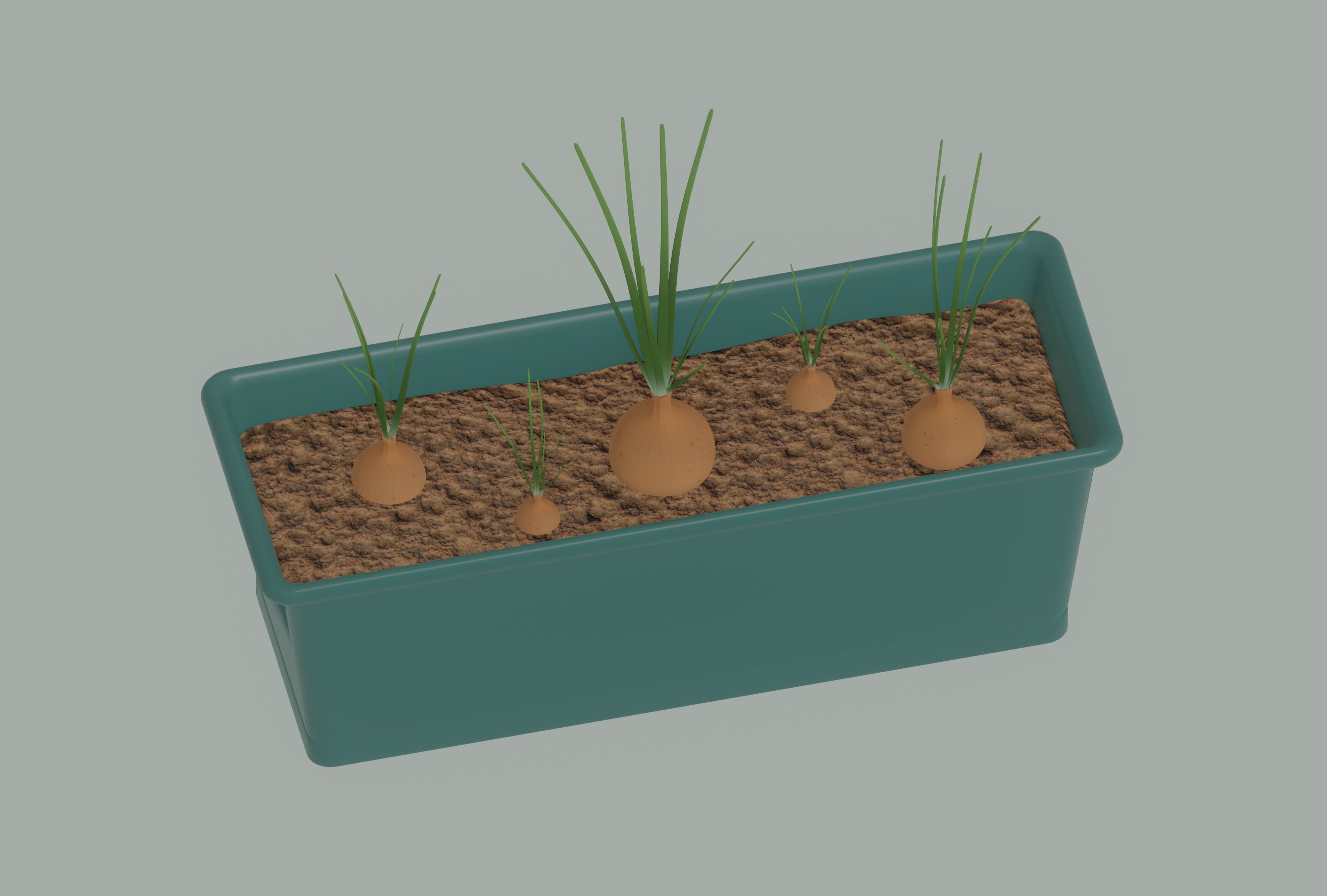 Planter Box with Growing Onions 3D model_2