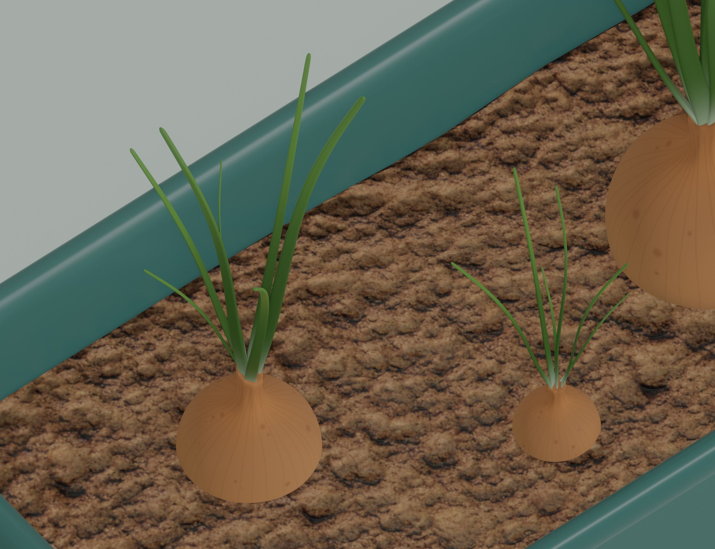 Planter Box with Growing Onions 3D model_7
