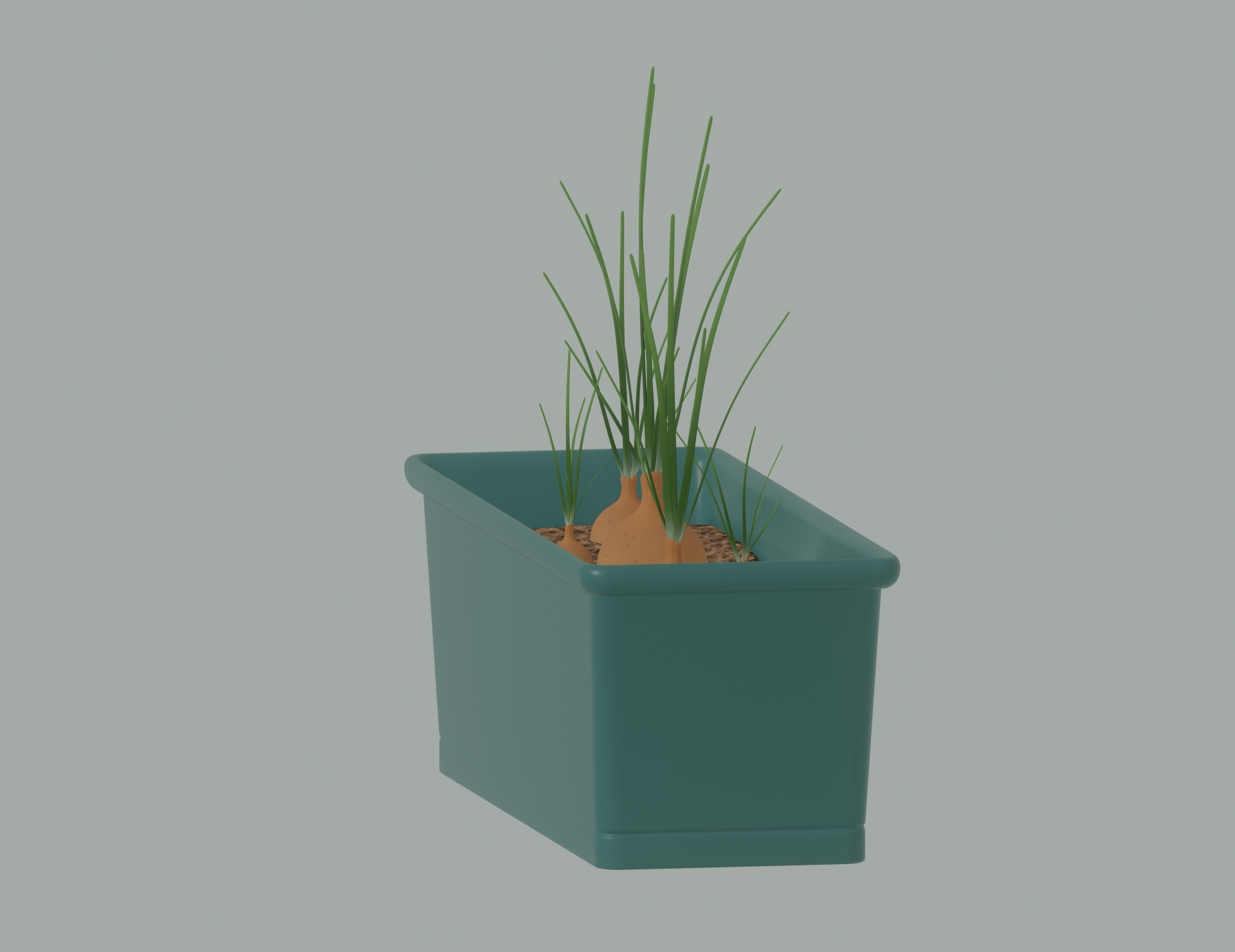 Planter Box with Growing Onions 3D model_4
