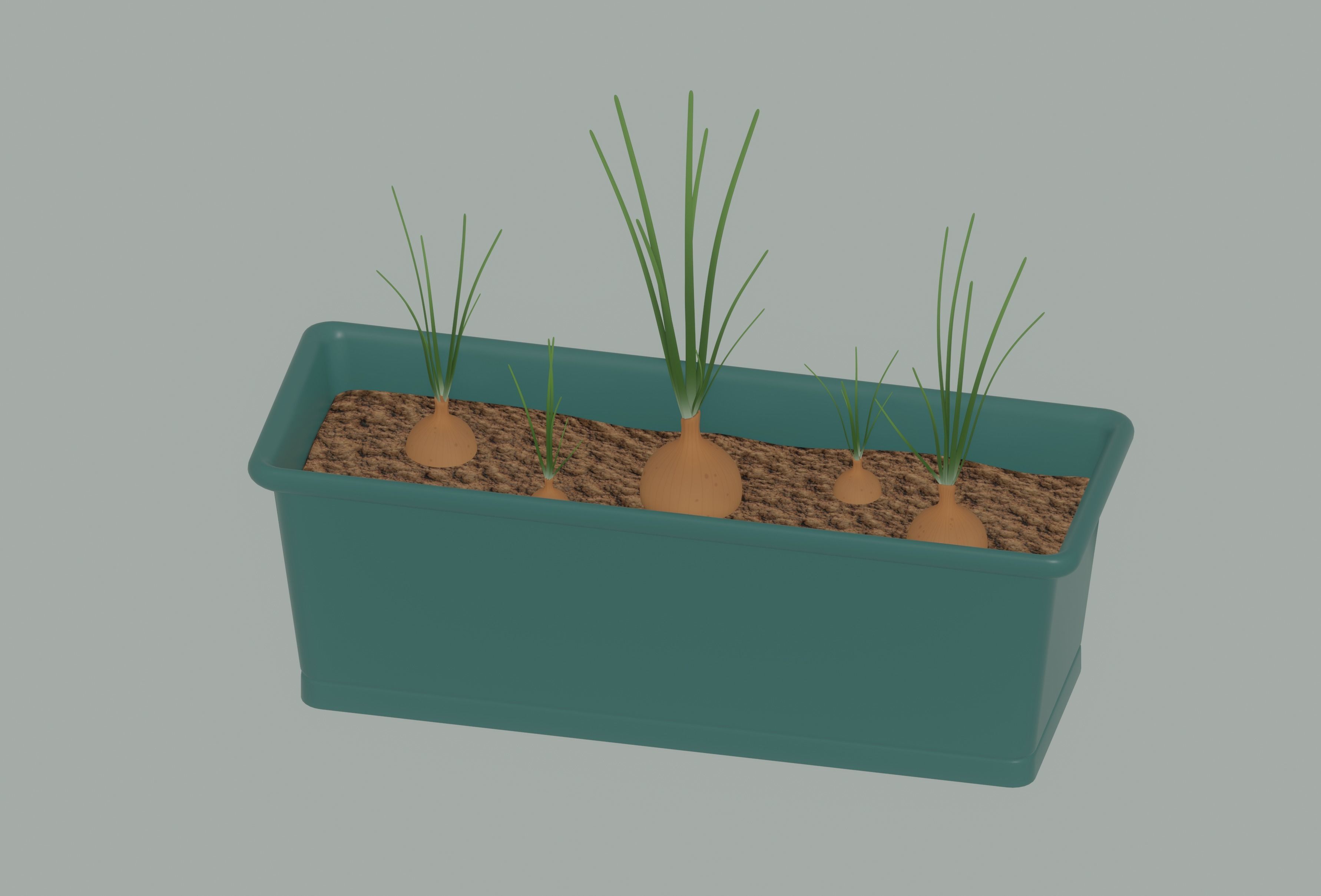 Planter Box with Growing Onions 3D model_1