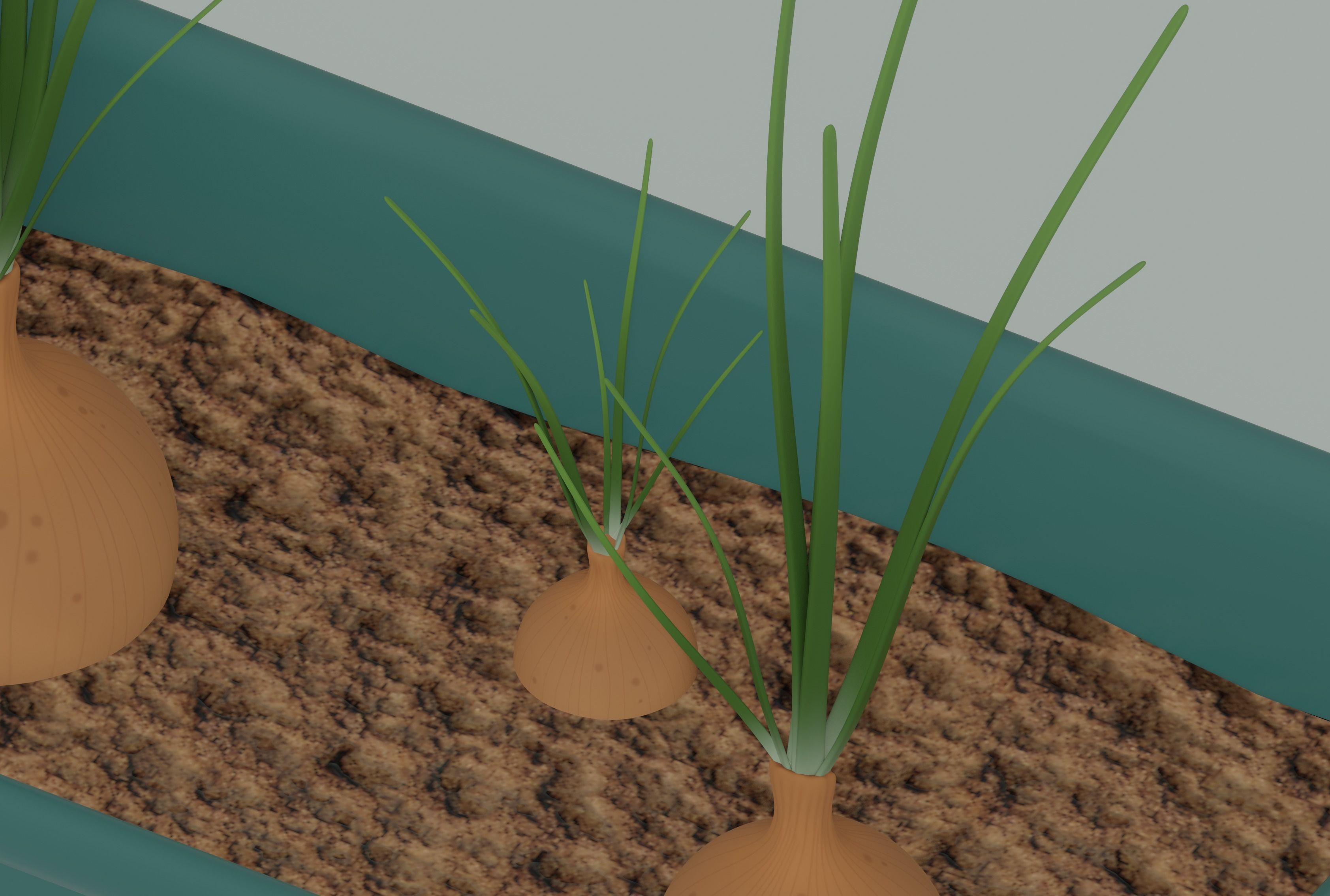 Planter Box with Growing Onions 3D model_9