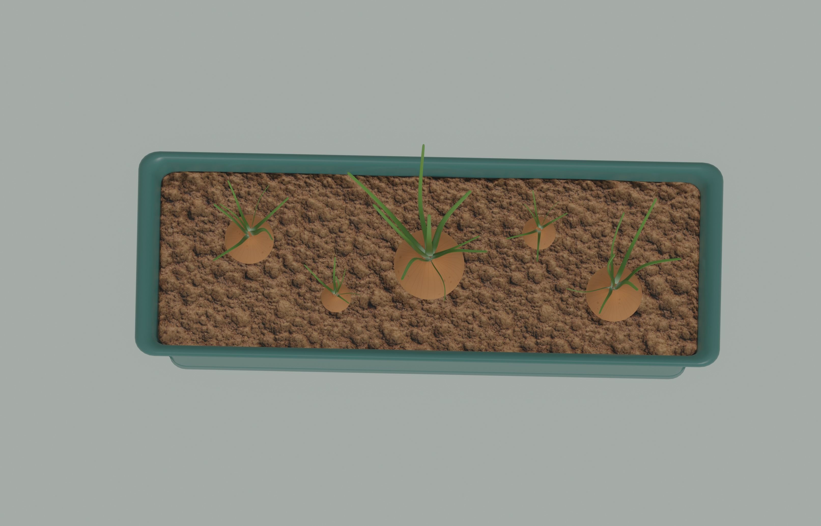 Planter Box with Growing Onions 3D model_6