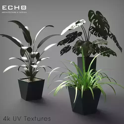 Flower pot  Plants -3 pack-