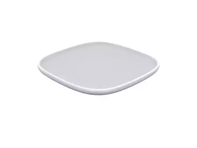 H2000285 PLATE GRAY v1