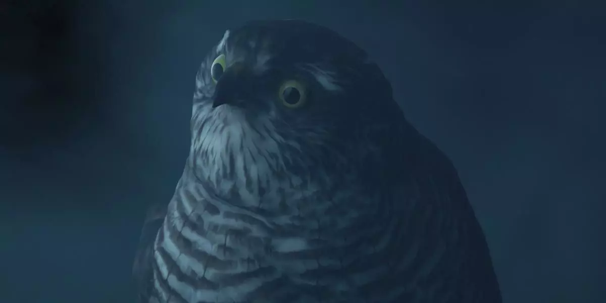 Photorealistic Female Sparrow Hawk Low-poly 3D model_0