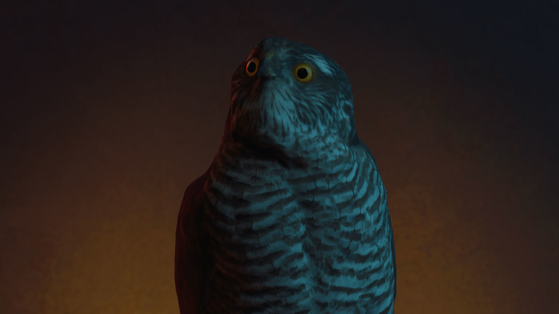 Photorealistic Female Sparrow Hawk Low-poly 3D model_4