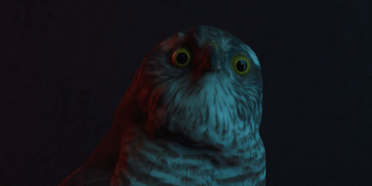 Photorealistic Female Sparrow Hawk Low-poly 3D model_5