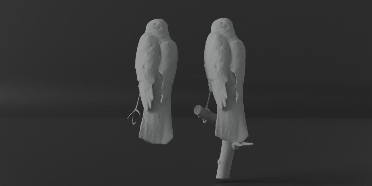 Photorealistic Female Sparrow Hawk Low-poly 3D model_7