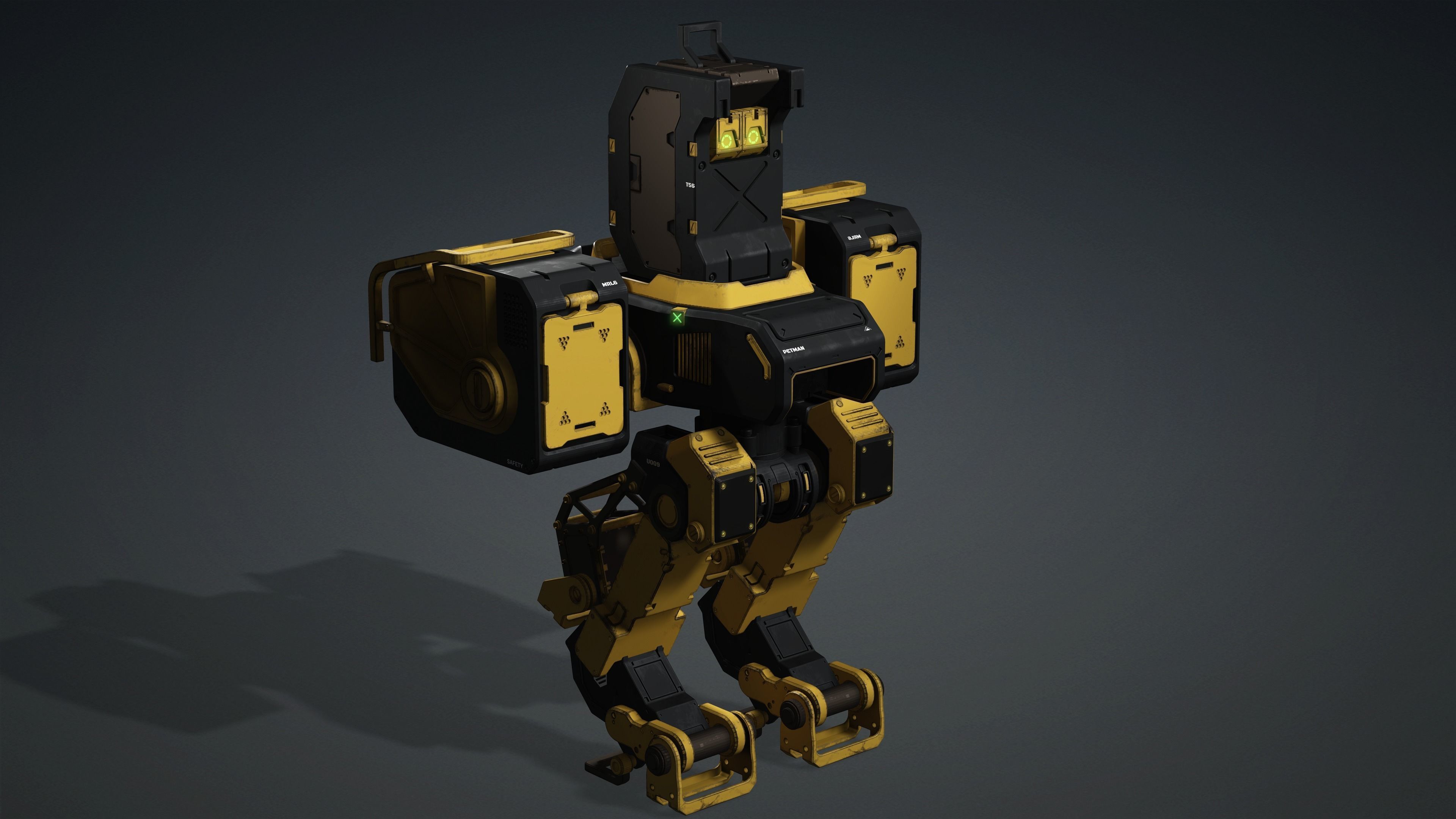 PETMAN 3D model_3
