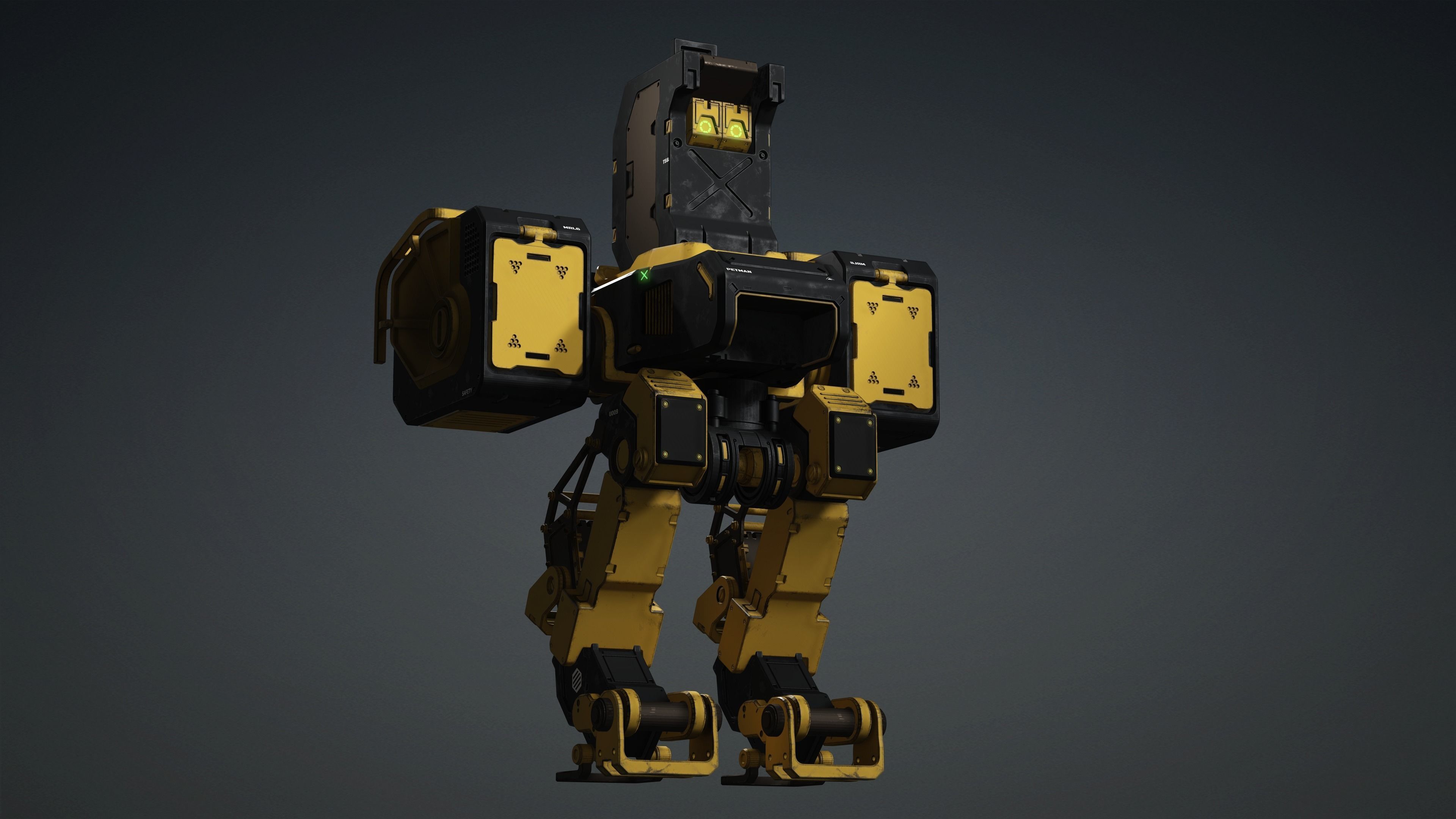 PETMAN 3D model_8
