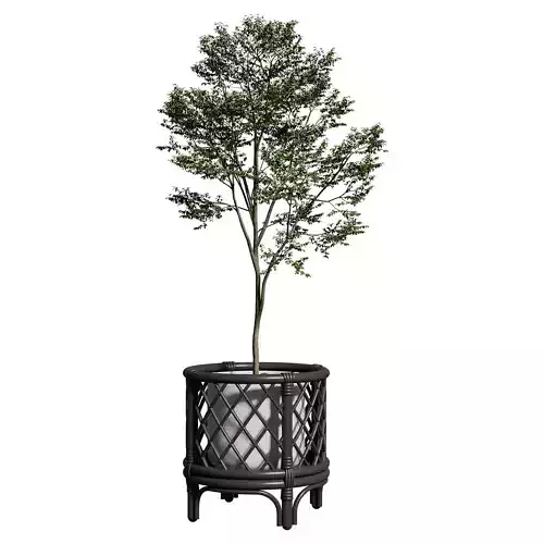 Kathyscove Jamies Diamond Black Planter - Medium