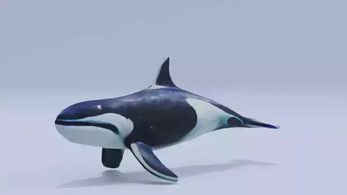 Orca Fish White Shark Low High Poly Low-poly 3D model