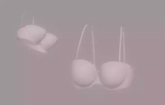 Bra model 3D model