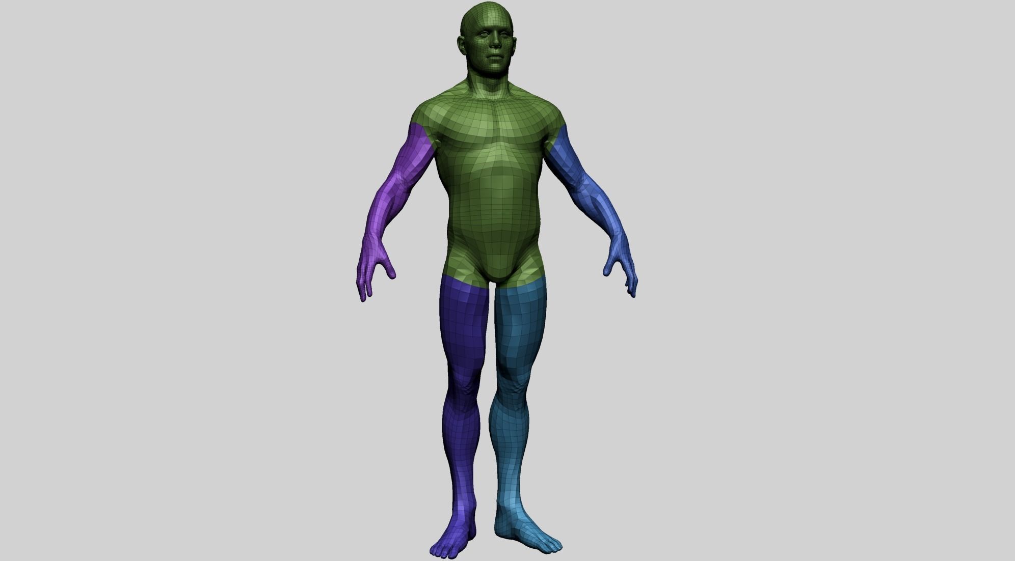 Male Basemesh A 3D model_3