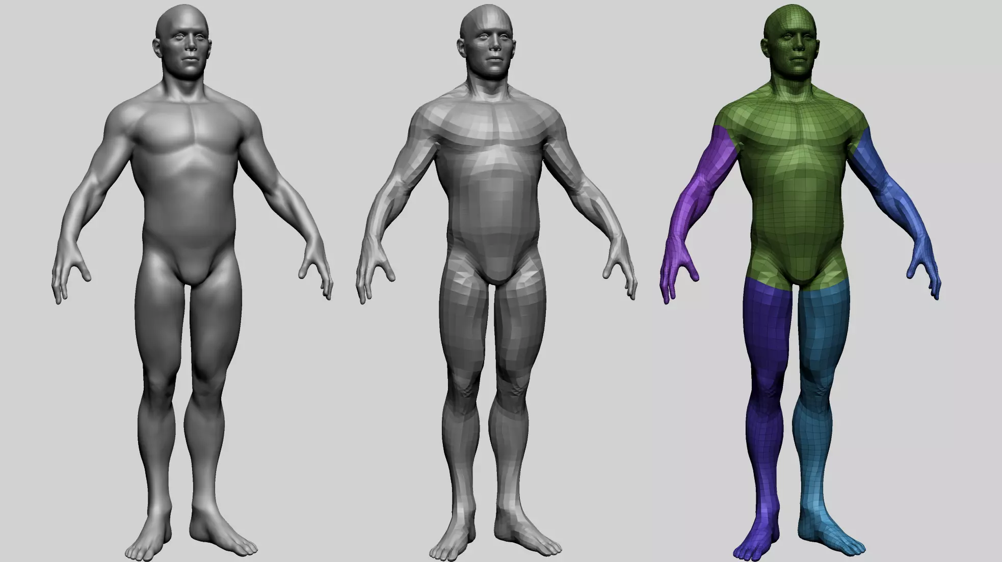 Male Basemesh A 3D model_0