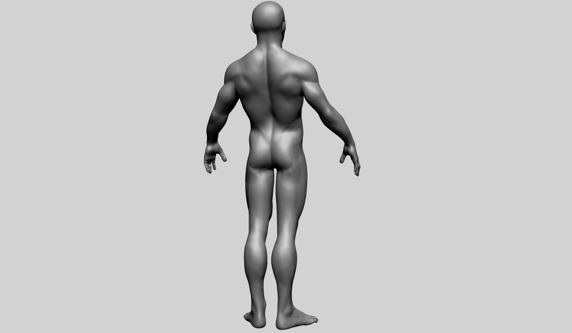 Male Basemesh A 3D model_7