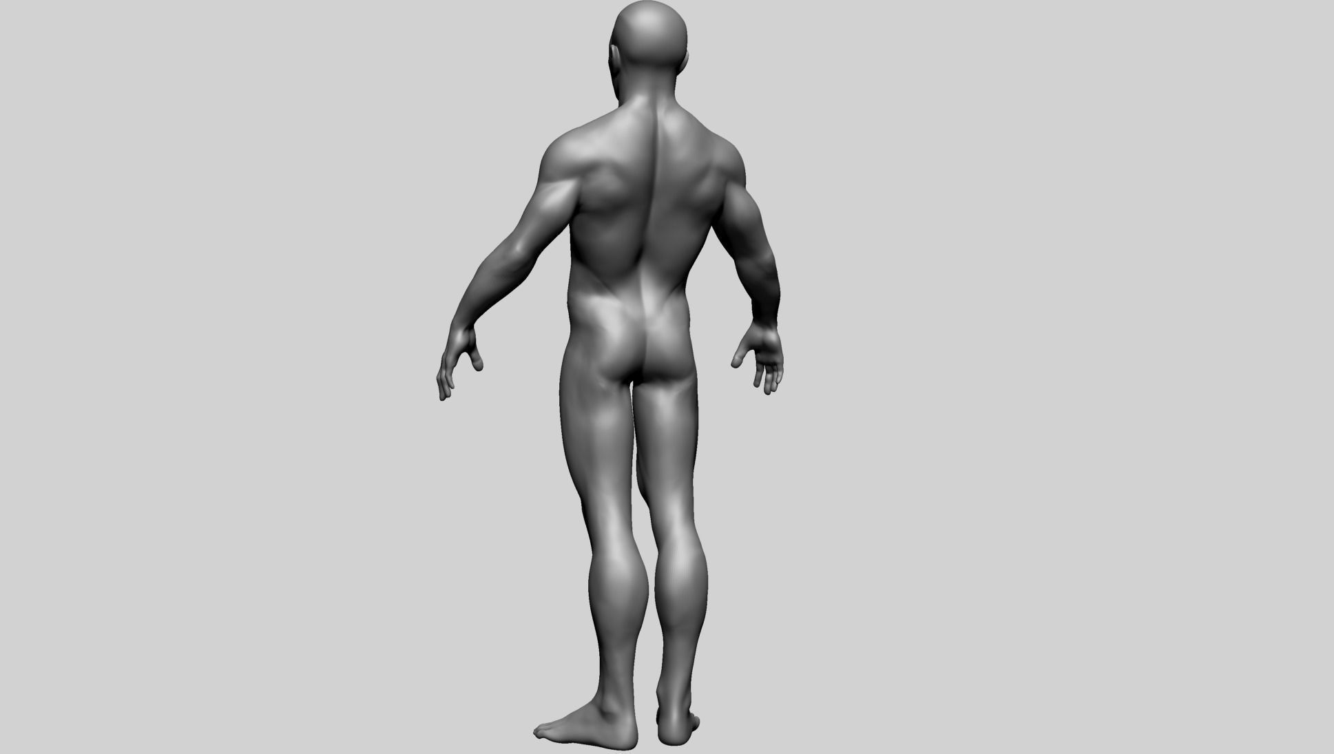 Male Basemesh A 3D model_8
