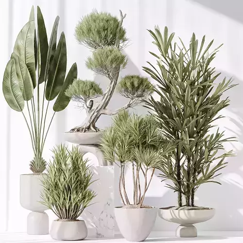 Indoor plant set 28