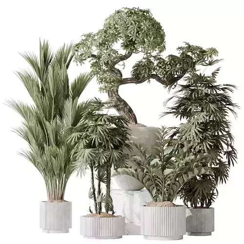 Indoor plant set 27