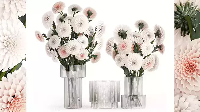 Set of white bouquets of flowers Chrysanthemum Dahlias 375