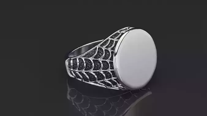 Spider web signet silver ring 