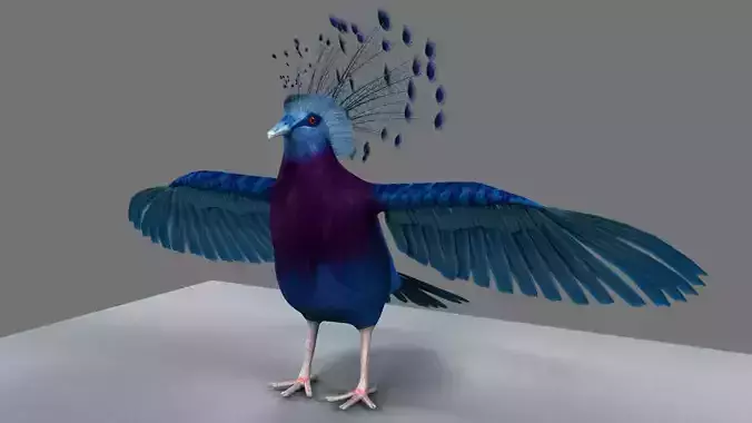 Victoria Crowned Pigeon 3D model
