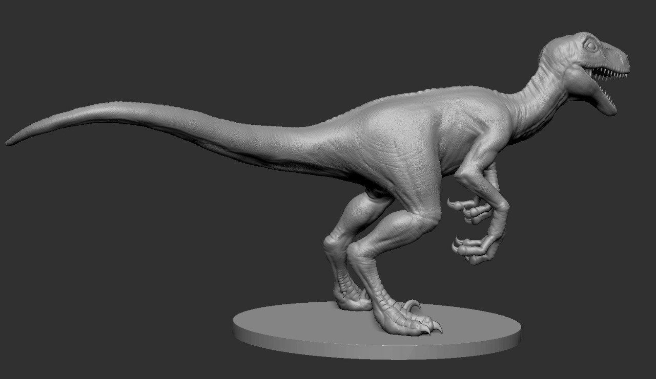 Veloceraptor Realistic Basemesh Printable 3D model_5