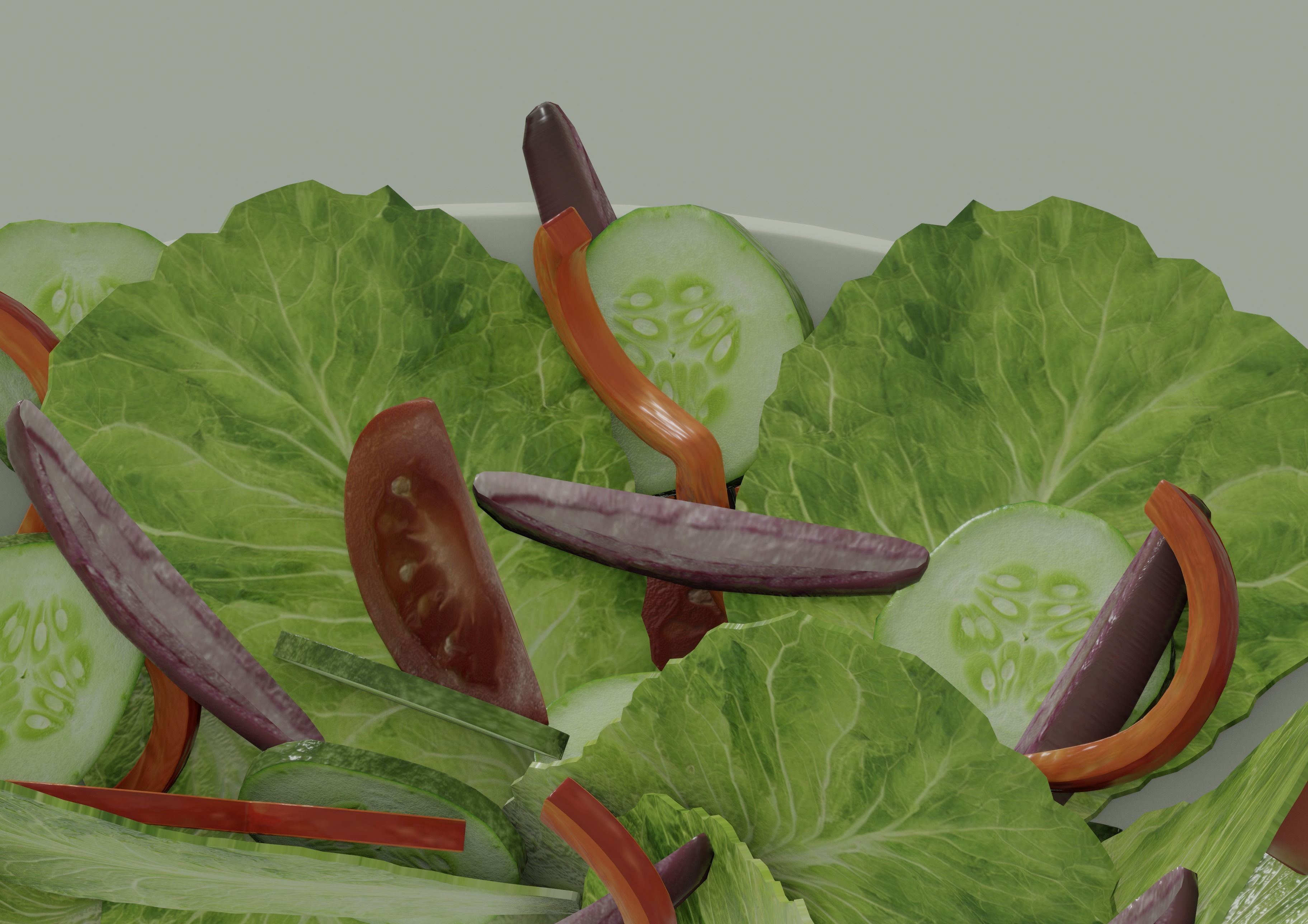 Bowl of Salad 3D model_10