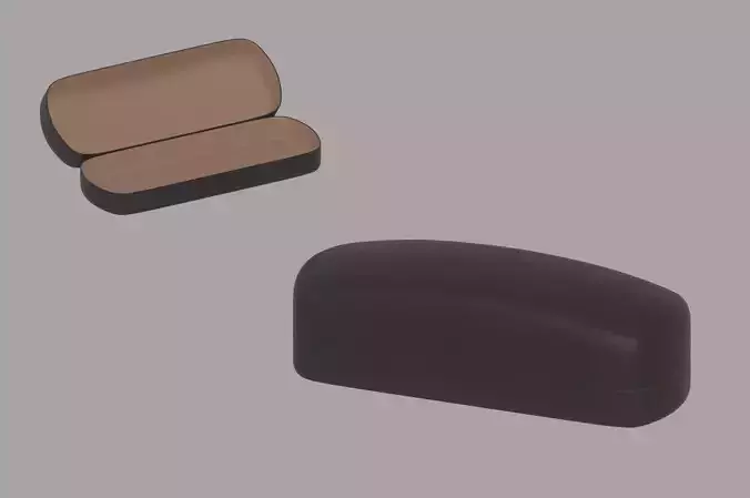 Glasses Case 3D model