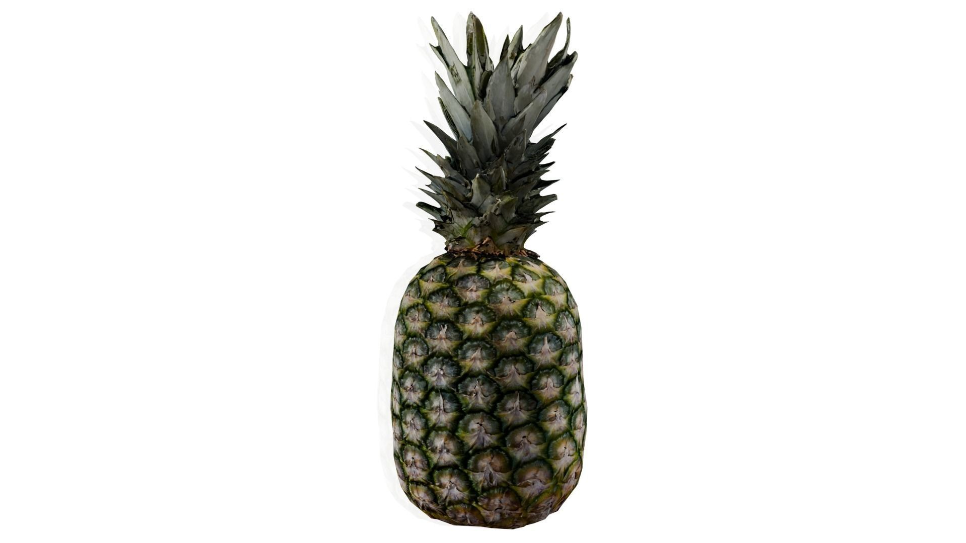 Pineapple 3D model_4