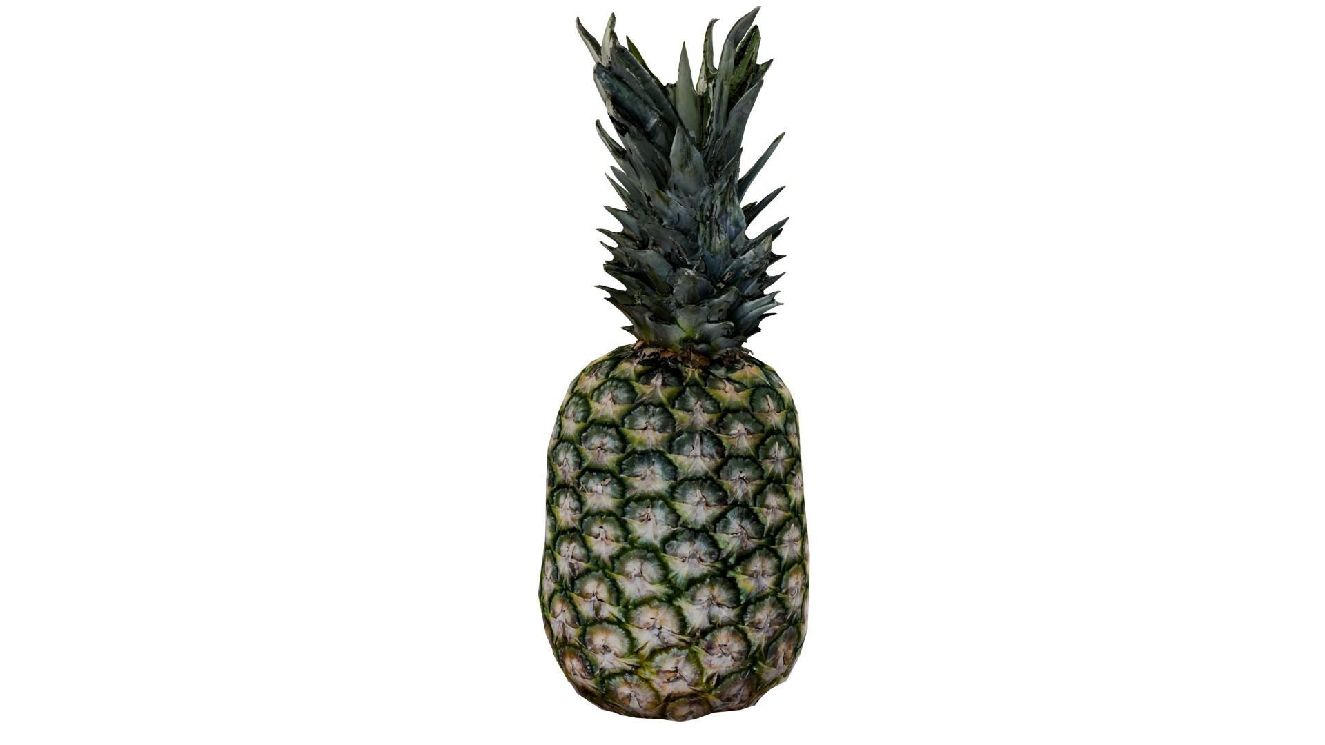 Pineapple 3D model_2