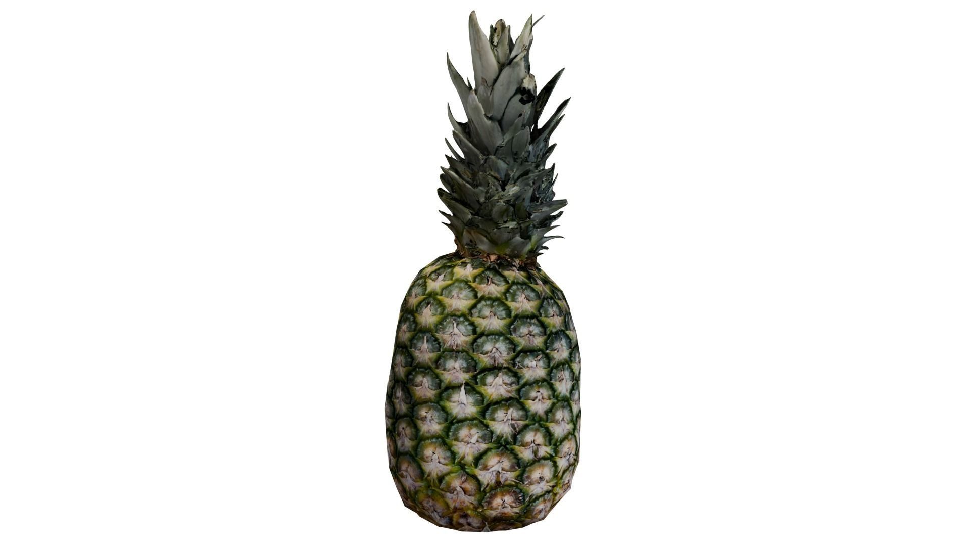 Pineapple 3D model_3