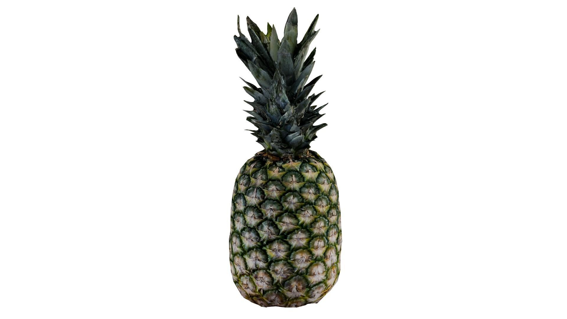 Pineapple 3D model_1