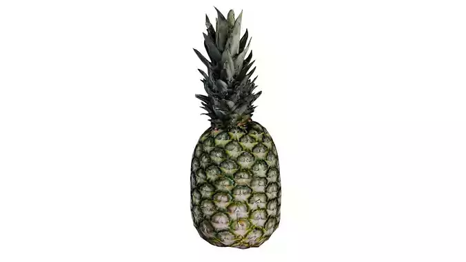 Pineapple