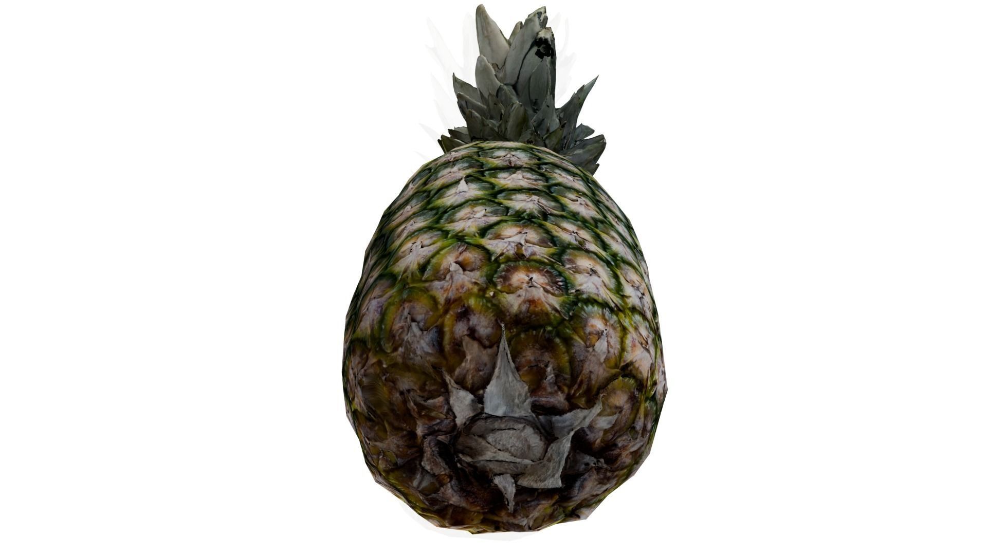 Pineapple 3D model_6