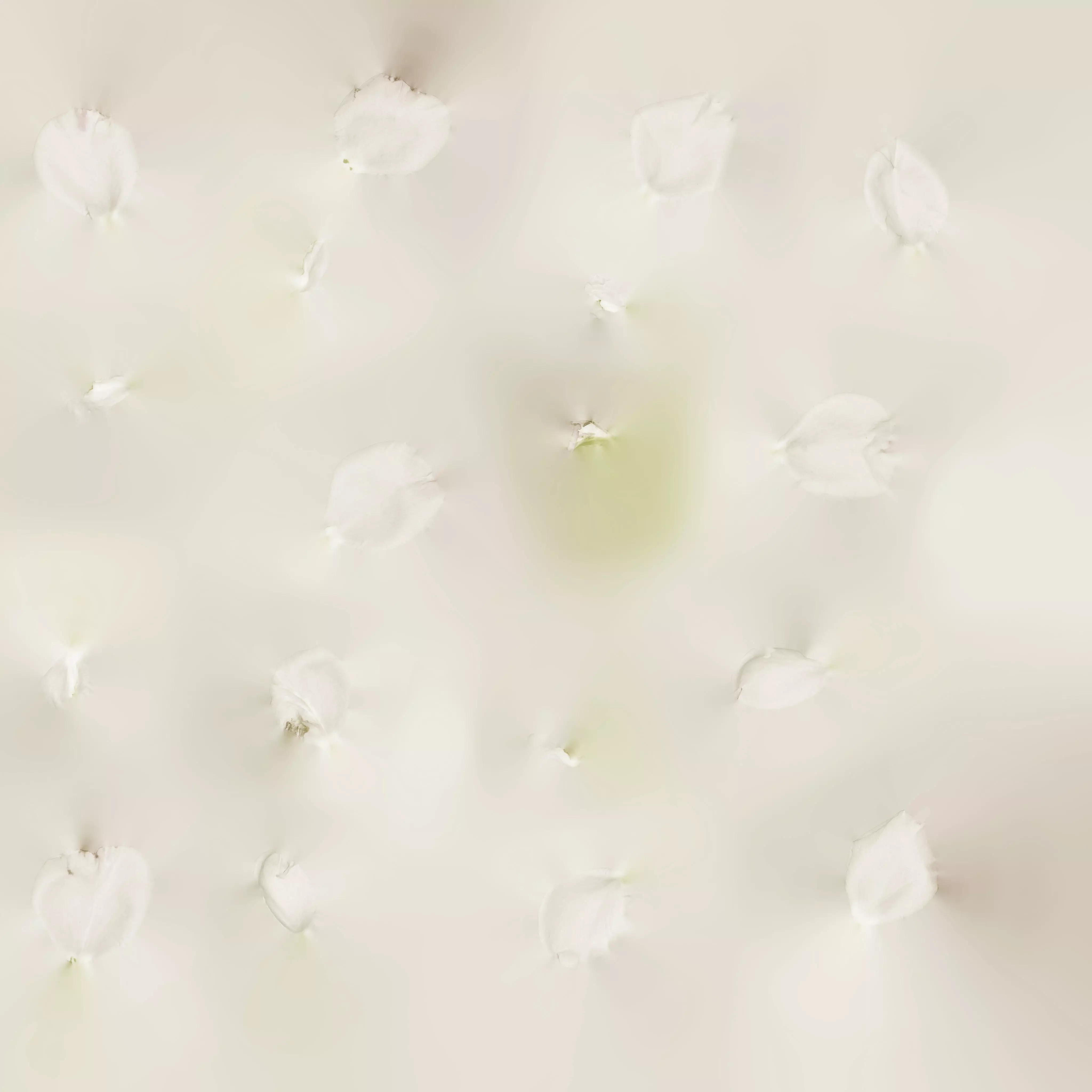 Vase with flowers Free 3D model