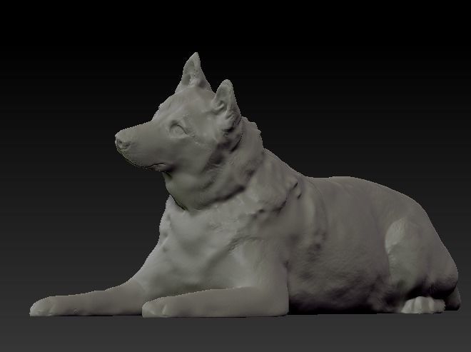 Husky dog lies - model 2 Low-poly 3d scan animal 3D model_6