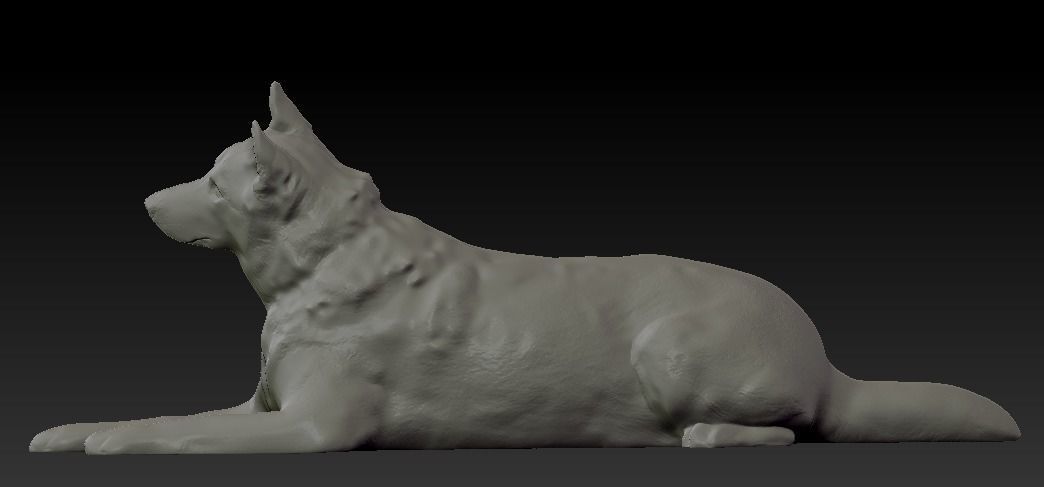 Husky dog lies - model 2 Low-poly 3d scan animal 3D model_7