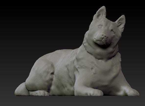Husky dog lies - model 2 Low-poly 3d scan animal 3D model_5