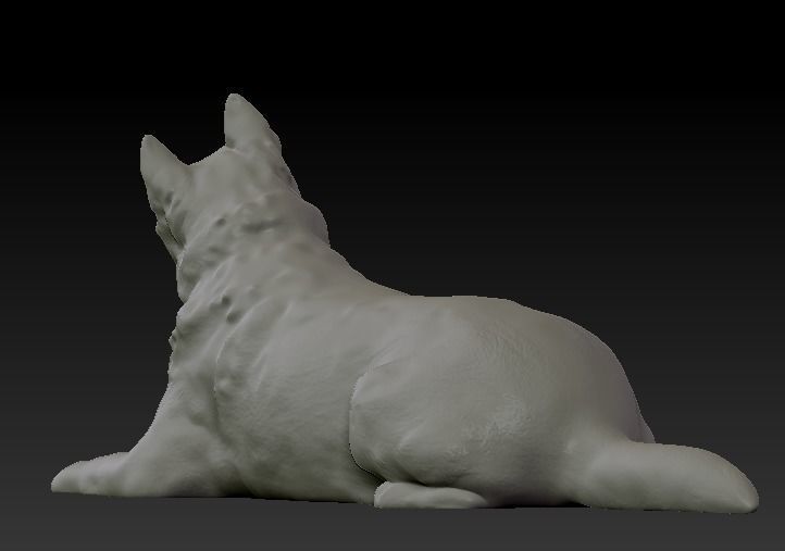 Husky dog lies - model 2 Low-poly 3d scan animal 3D model_8