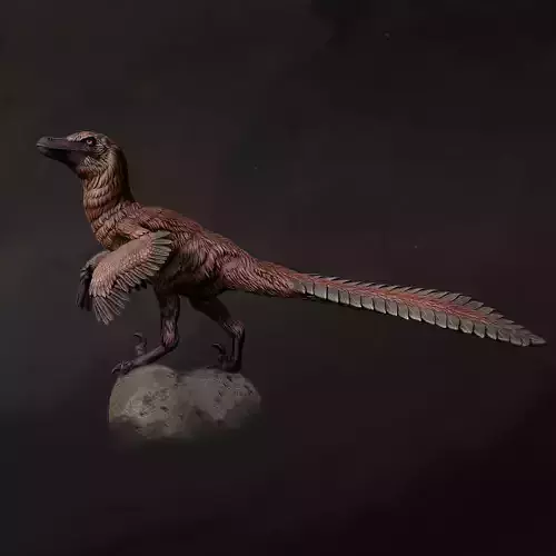 Velociraptor looking 1-20 FREE model pre-supported Free 3D print model