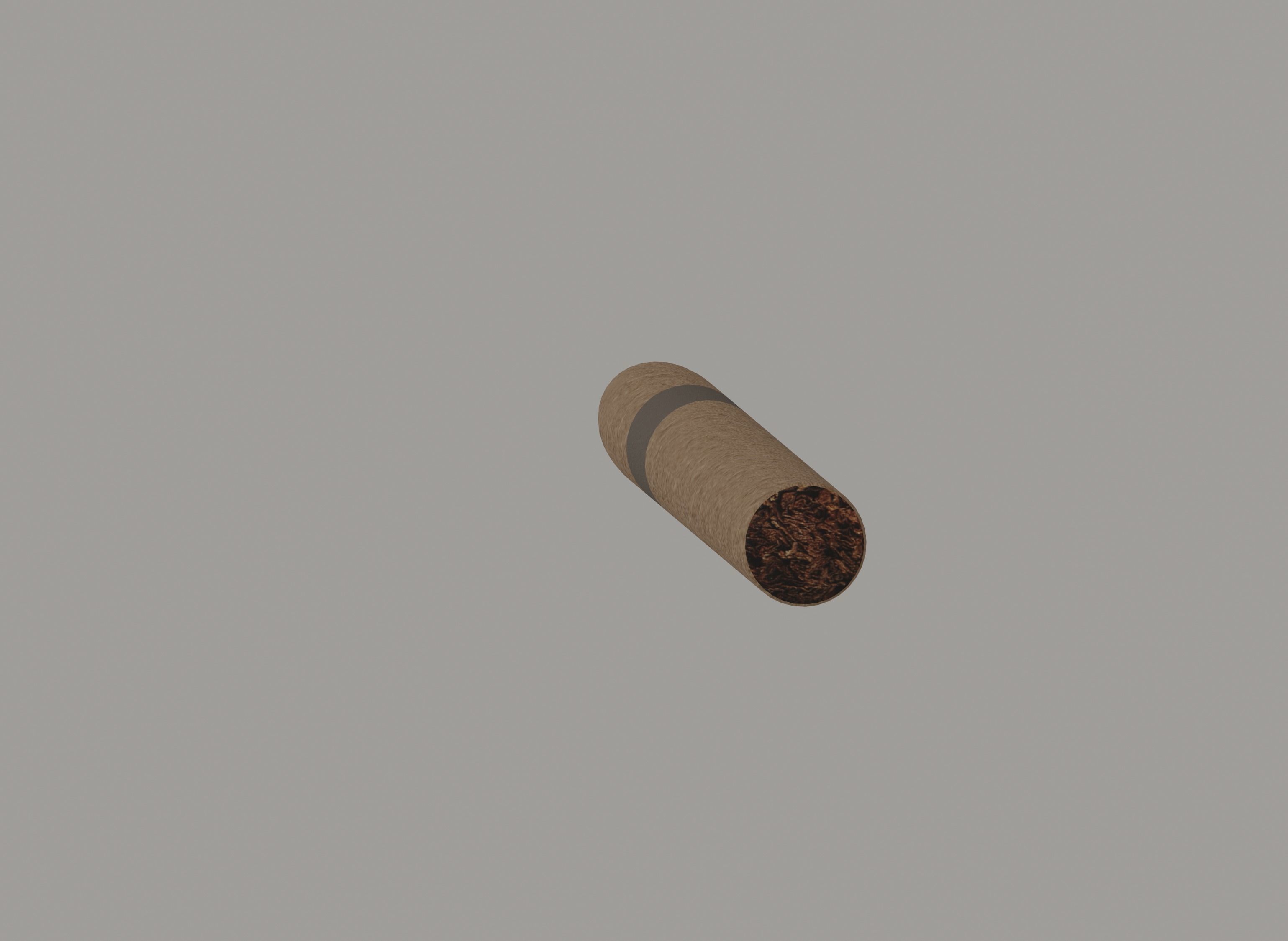 Cigar Low-poly 3D model_3