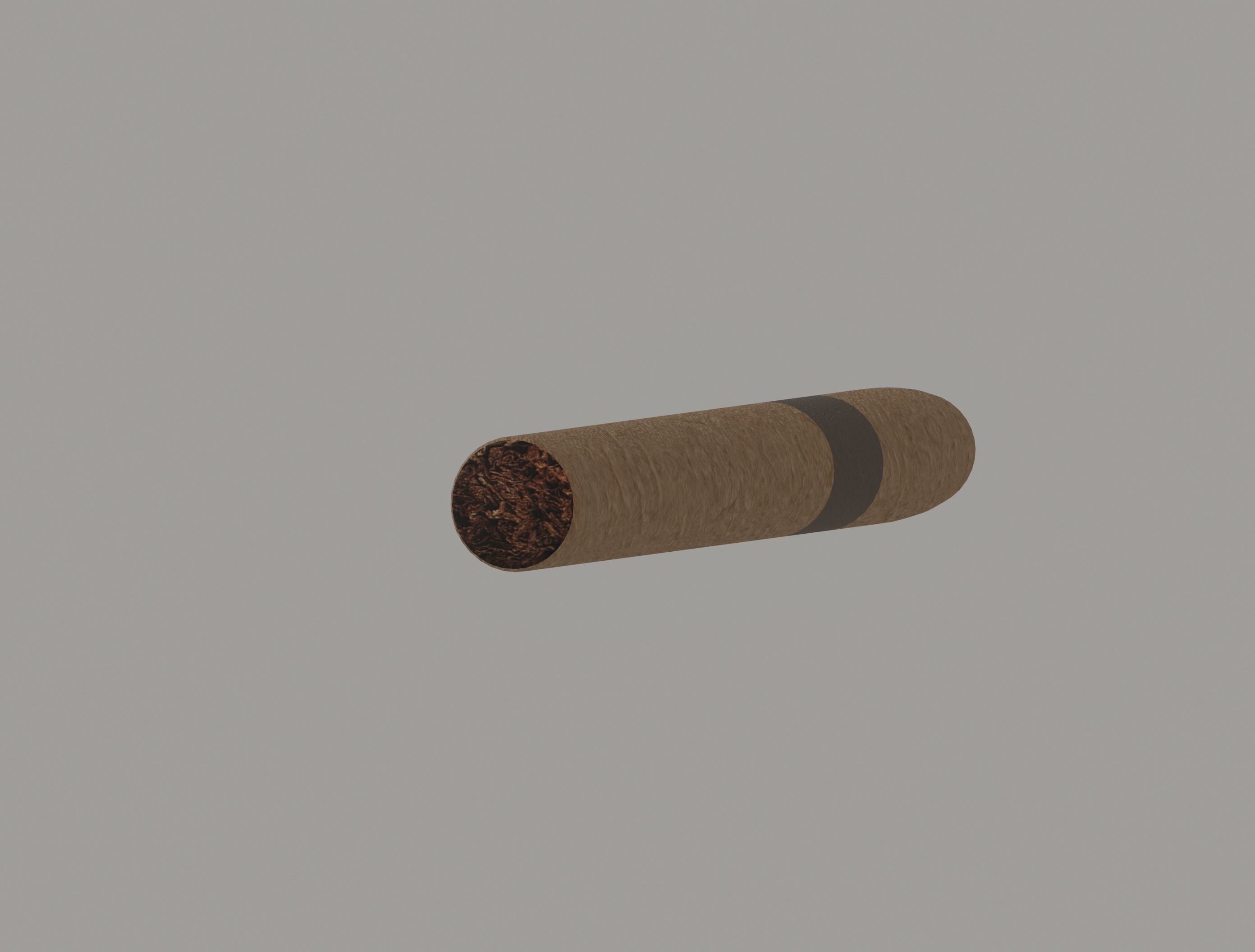 Cigar Low-poly 3D model_4