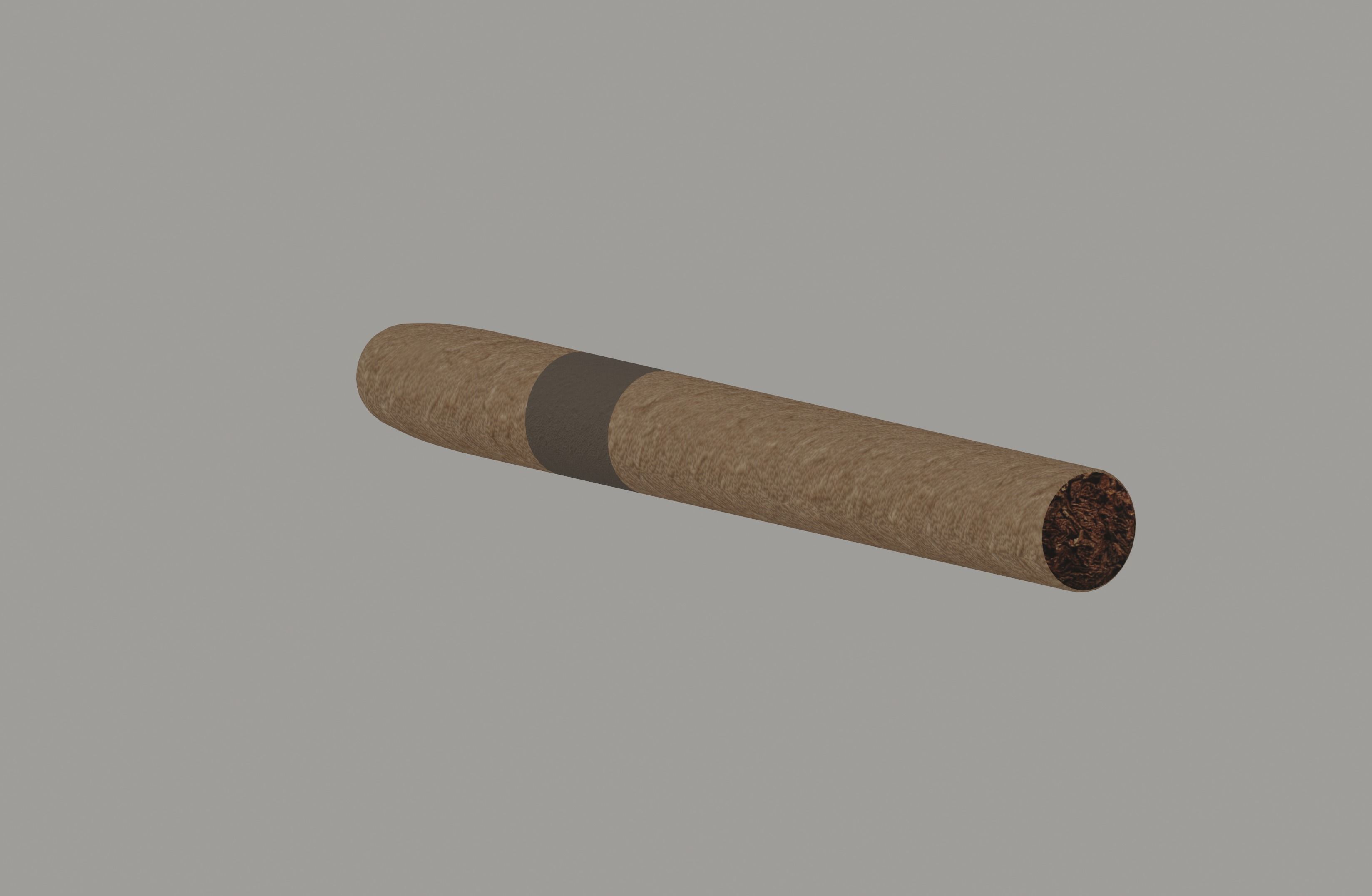 Cigar Low-poly 3D model_2