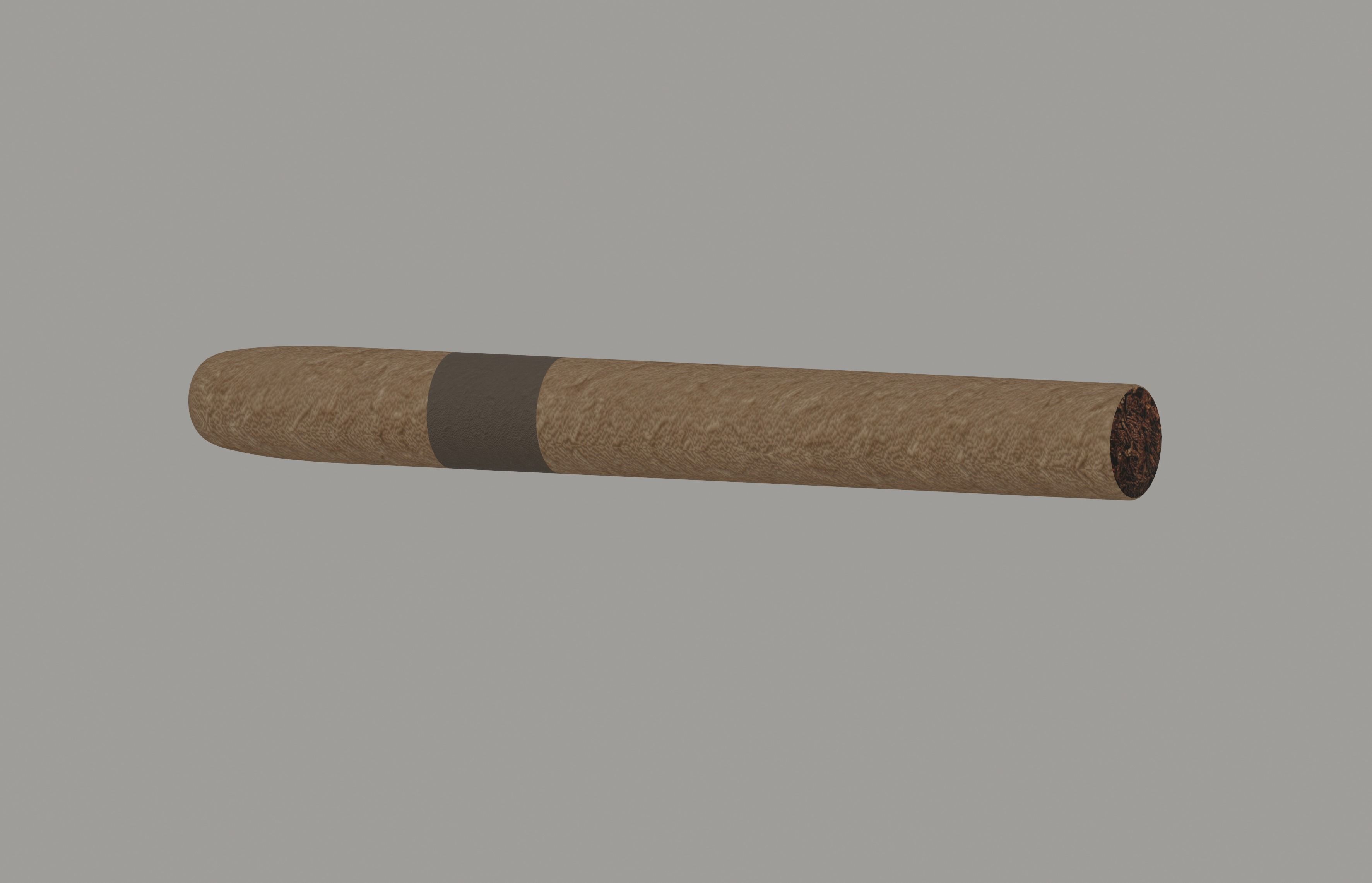 Cigar Low-poly 3D model_1