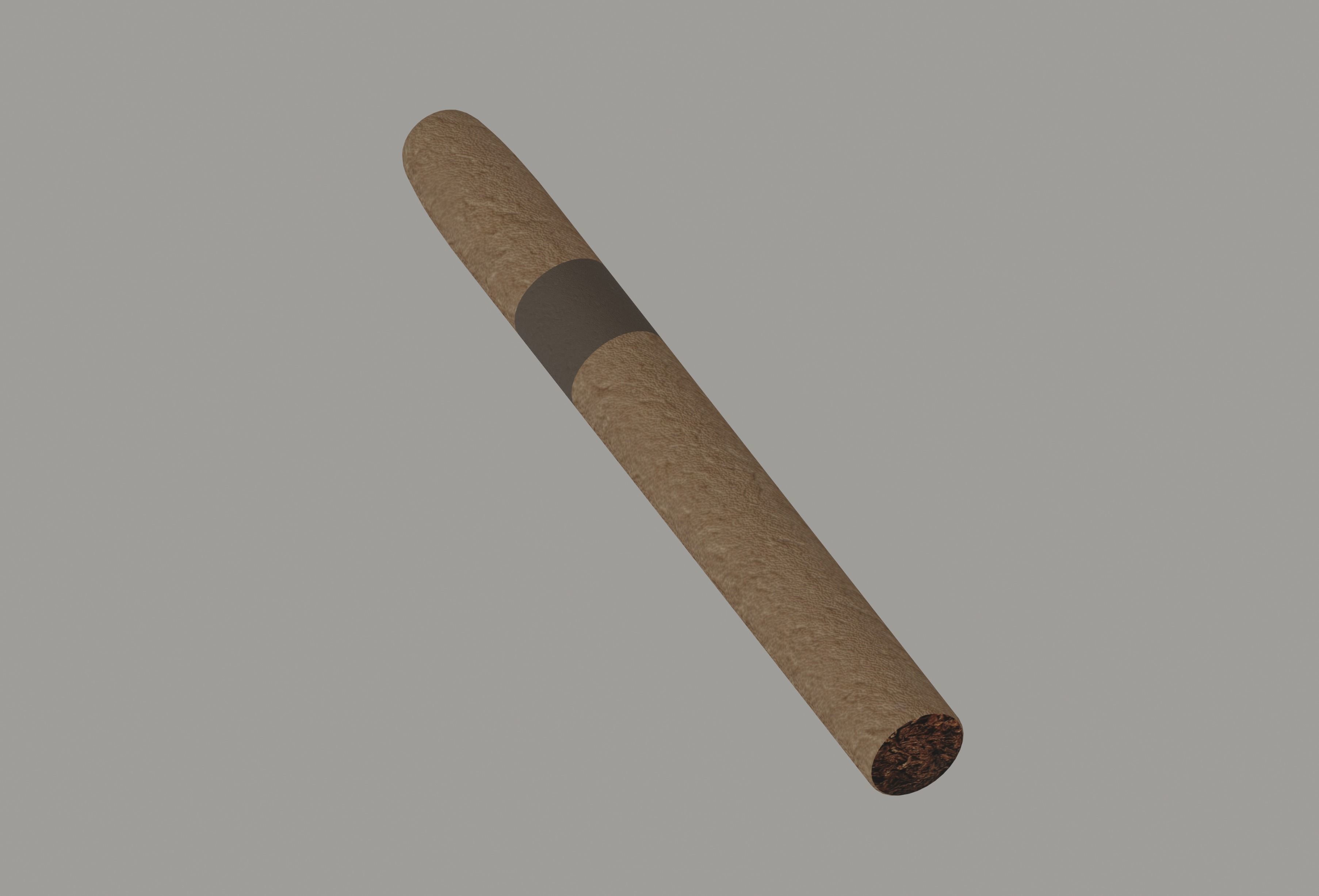 Cigar Low-poly 3D model_10
